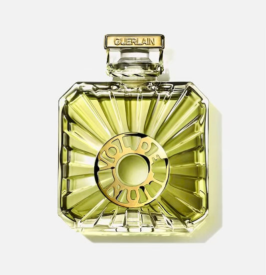 Vol de nuit  - Extrait