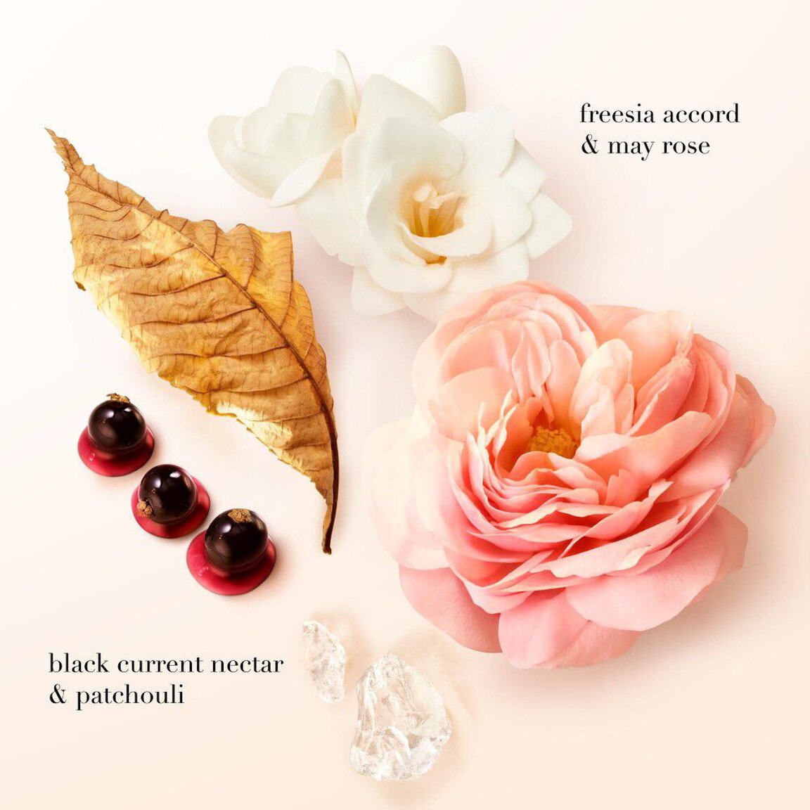 Coffret cadeau SÌ - Eau de parfum